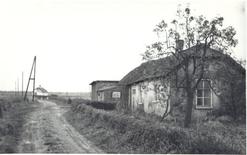 bosschen_1965_frans-akkerman