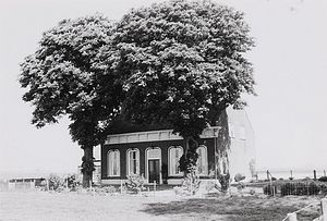 Berkenhoeve van Nierus van Honsewijk in de ZHPolder