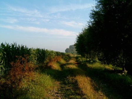 Achterstraat naar zwemput